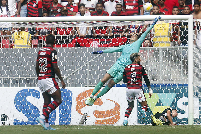 botafogo seleção gatito