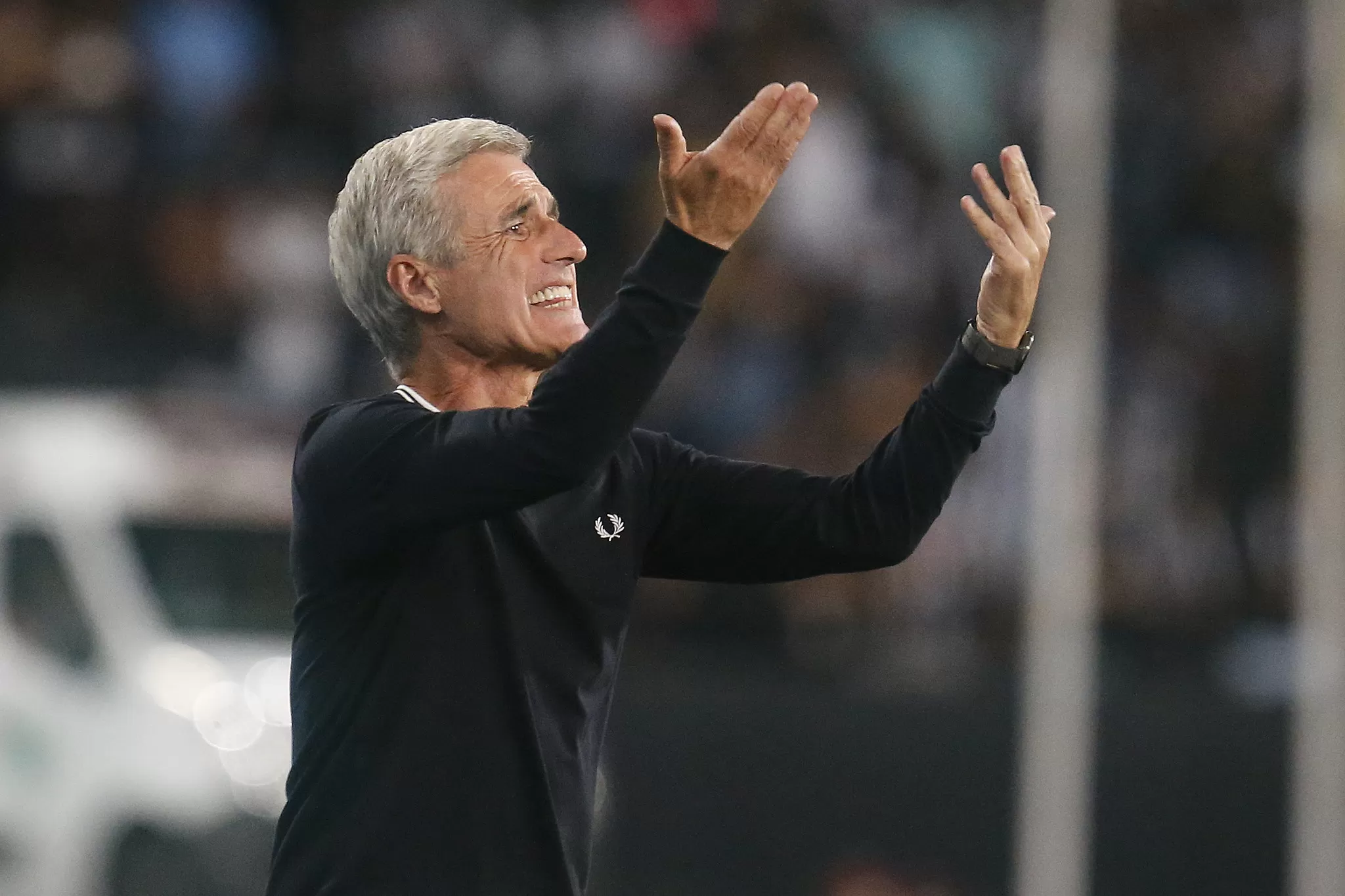 luis castro botafogo fortaleza