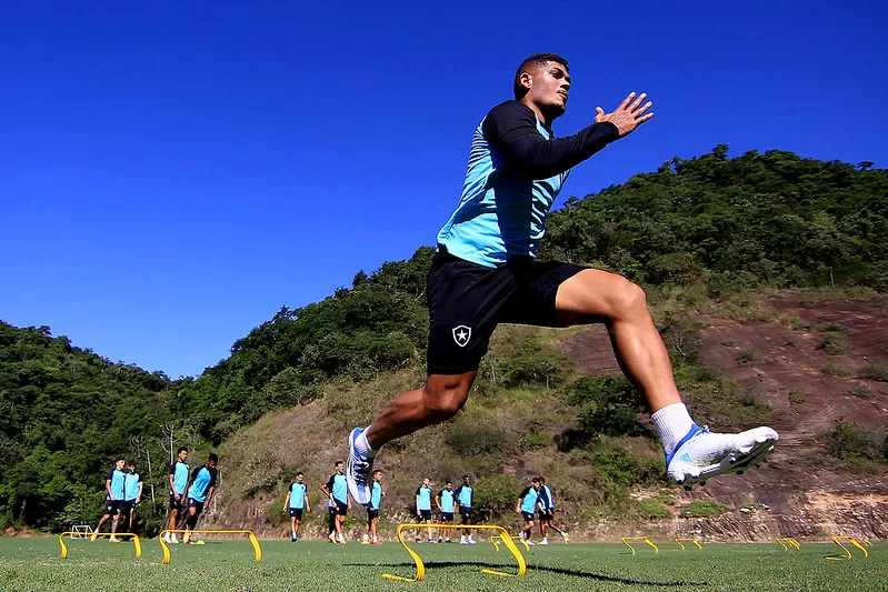 textor erison botafogo