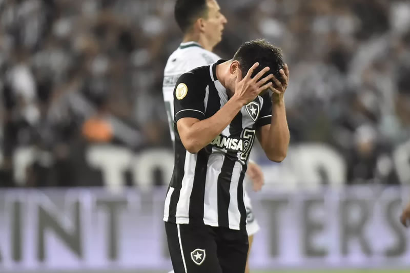 Botafogo aproveitamento Nilton Santos