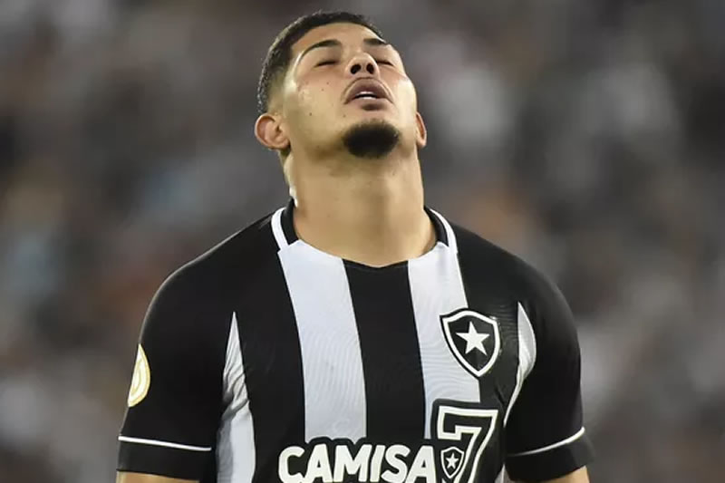 Palmeiras Botafogo Campeonato Brasileiro