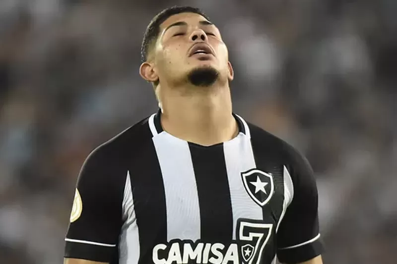 Palmeiras Botafogo Campeonato Brasileiro