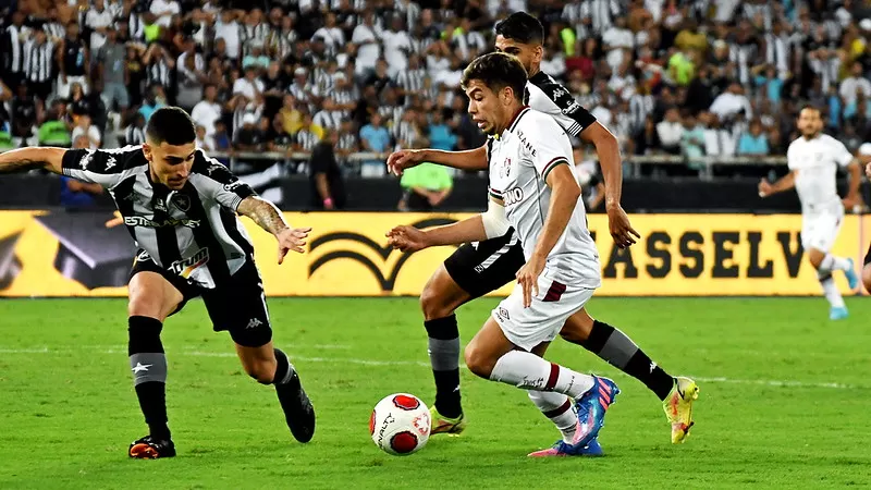 botafogo fluminense campeonato brasileiro