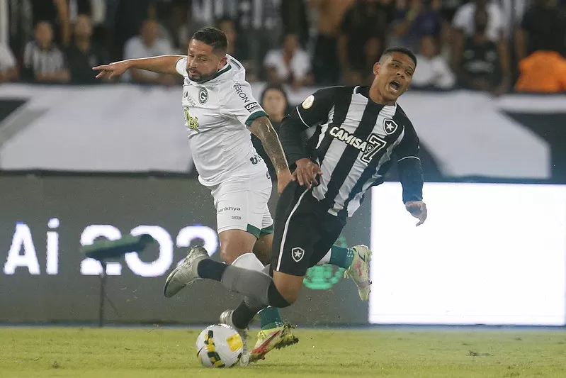 botafogo goias brasileiro