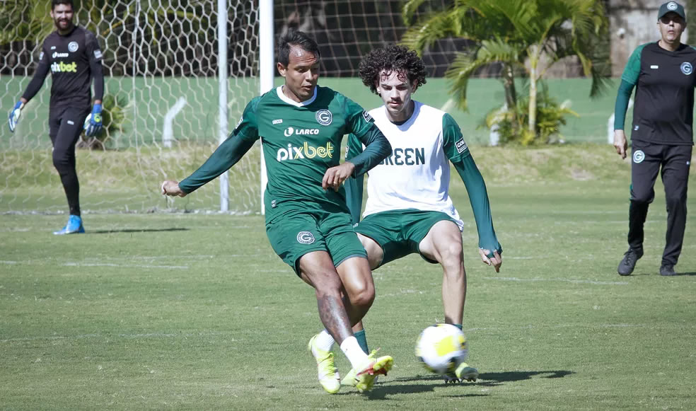 botafogo goias brasileiro