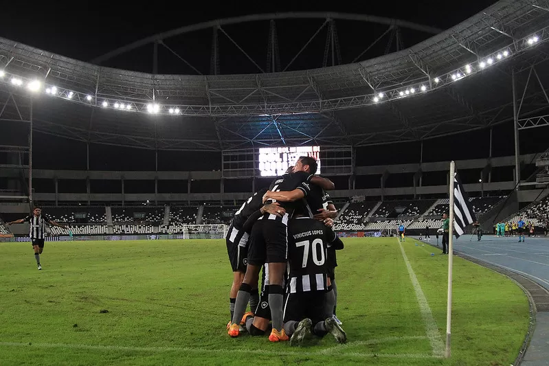 botafogo goias