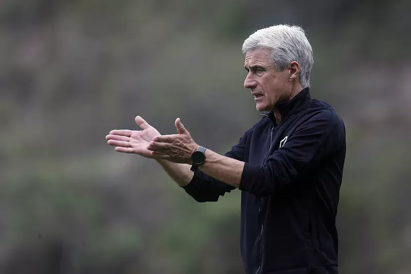 botafogo luis castro