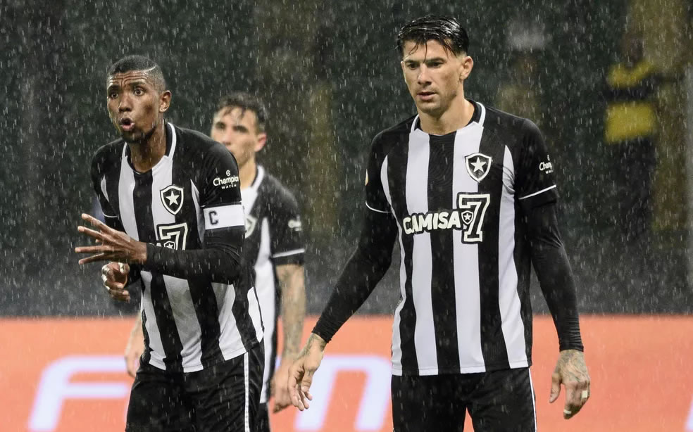 botafogo palmeiras defesa campeonato brasileiro