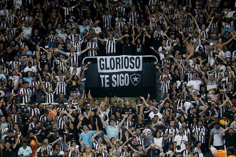 botafogo ranking torcida