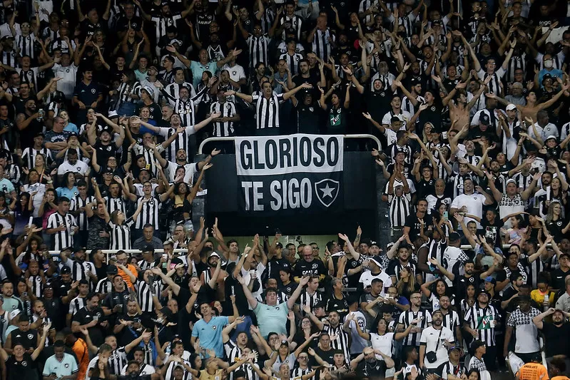 botafogo ranking torcida