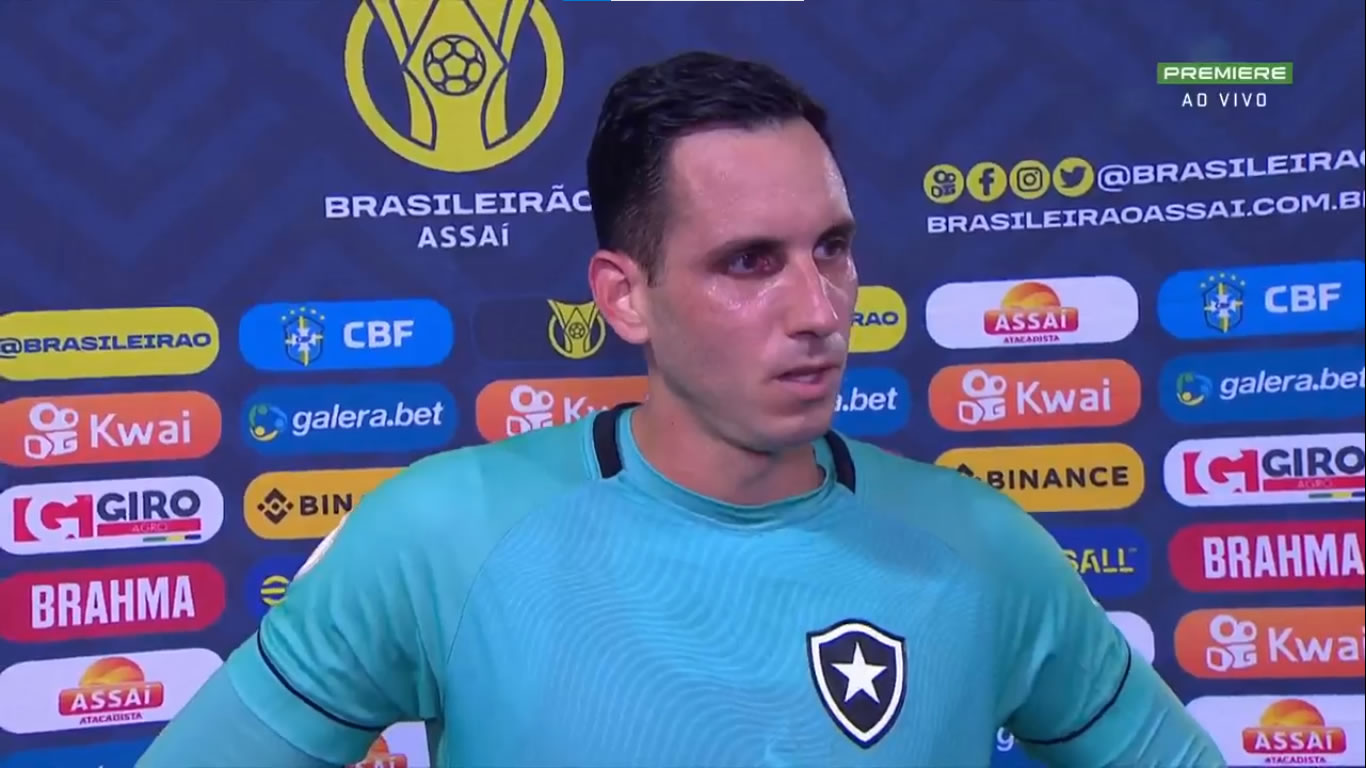 gatito botafogo avai