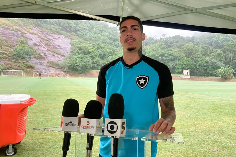 hugo botafogo luis castro