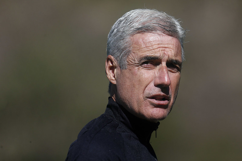 luis castro botafogo