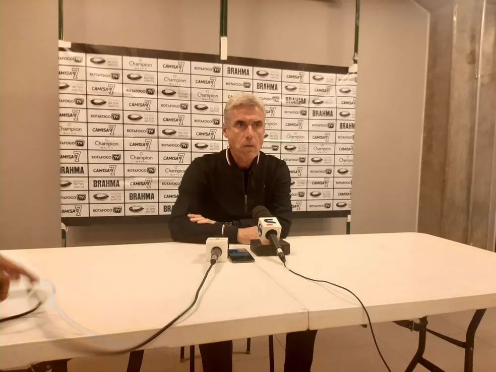 luis castro botafogo palmeiras brasileiro