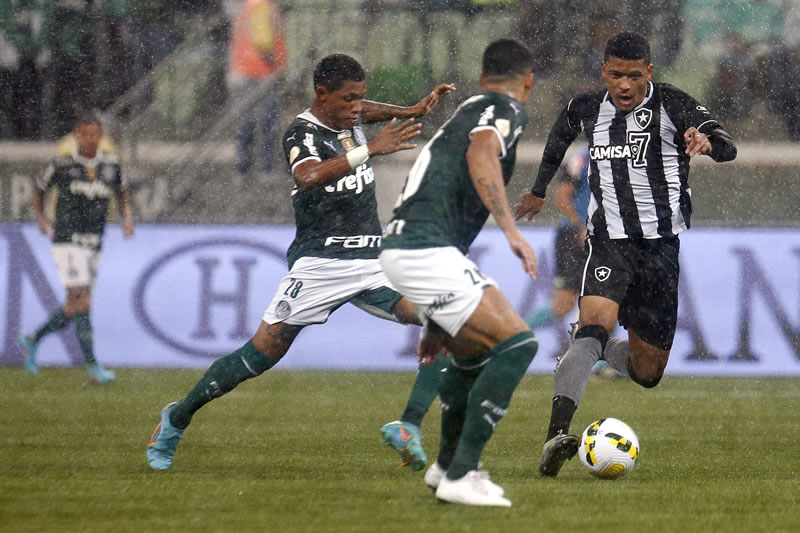 palmeiras botafogo campeonato brasileiro