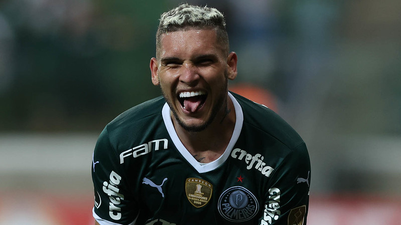 rafael navarro botafogo palmeiras