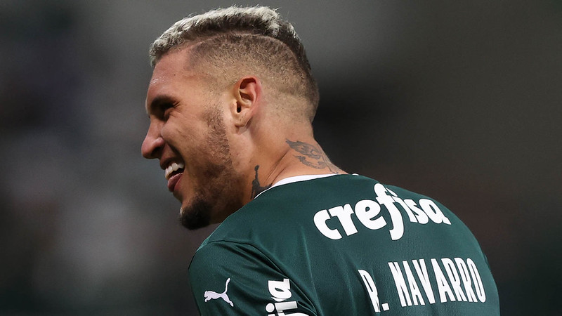 rafael navarro palmeiras botafogo
