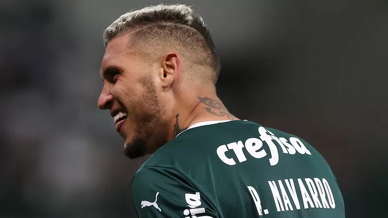 rafael navarro palmeiras botafogo