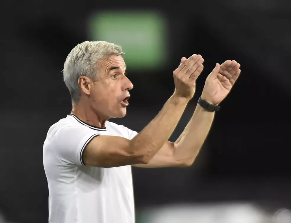 botafogo atletico-mg luis castro