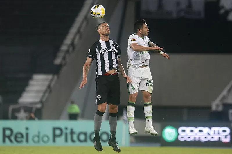 botafogo copa do brasil mazzuco