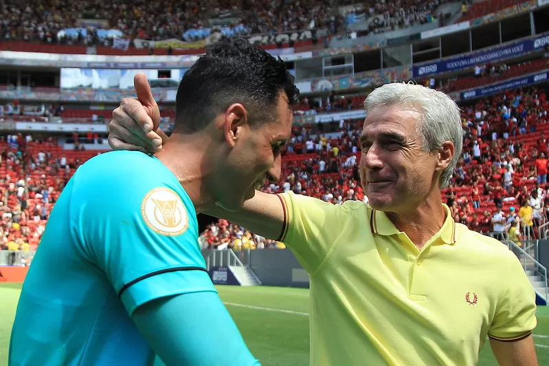 botafogo gatito palmeiras internacional