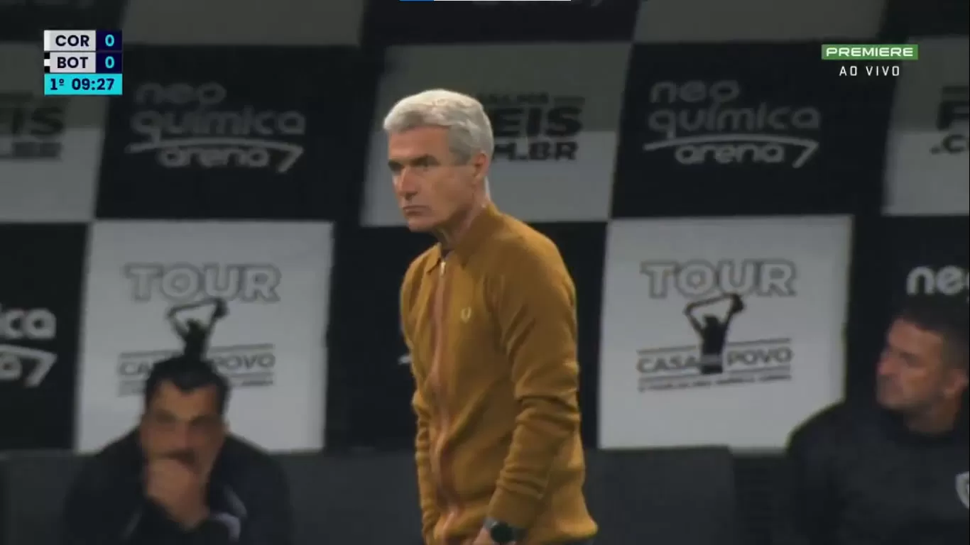 corinthians botafogo luis castro