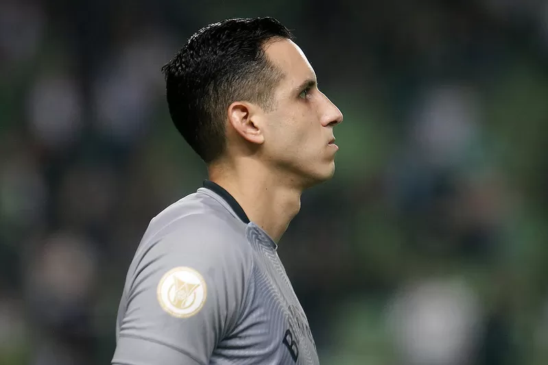 gatito botafogo