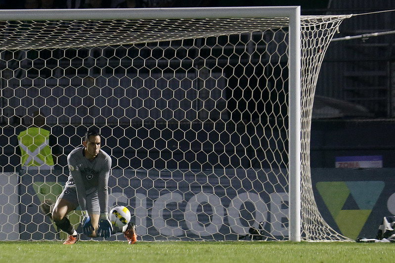 gatito botafogo bragantino