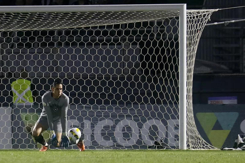 gatito botafogo bragantino