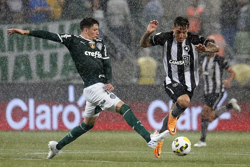 Botafogo X Palmeiras Ingressos Venda Aos S Cios Do Camisa Para Partida Pelo Brasileiro