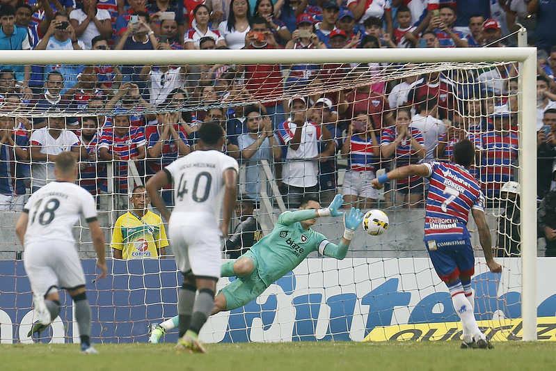 botafogo seleção rodada brasileiro