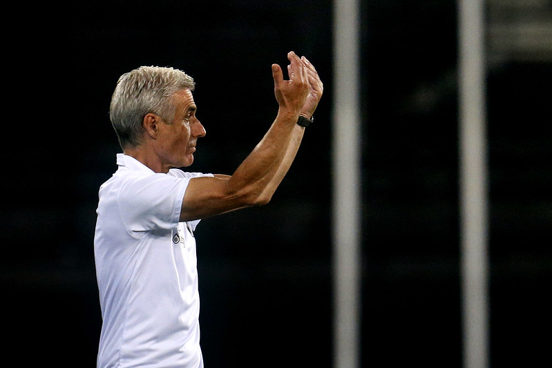 botafogo internacional luis castro