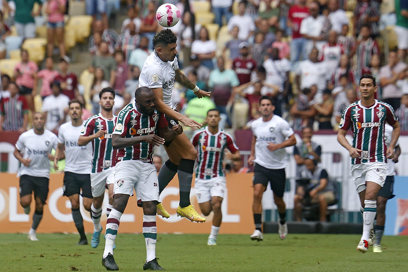 botafogo libertadores sul-americana