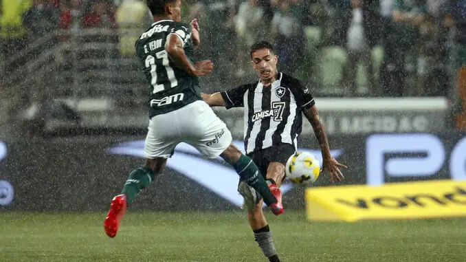 O Palmeiras sempre quis o campeonato que o Botafogo jogou fora - NSC Total