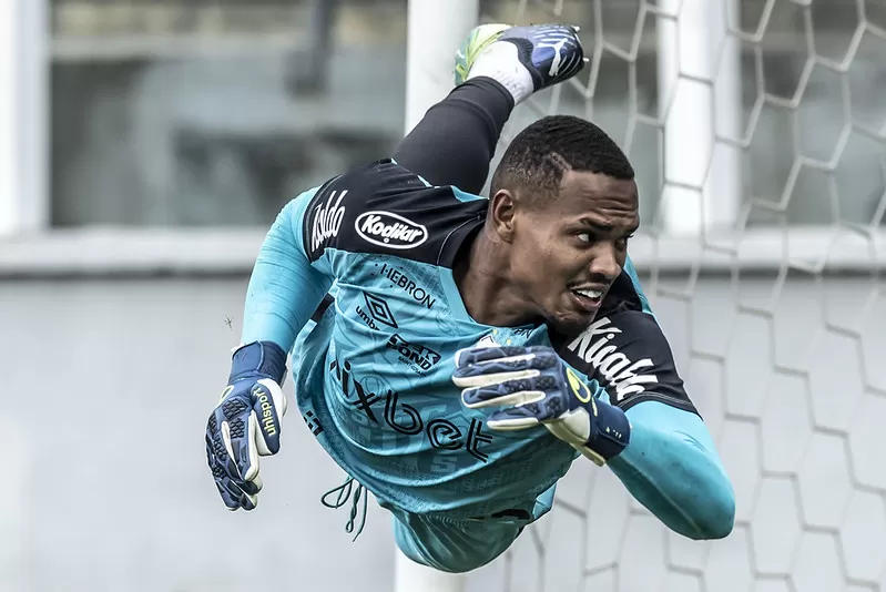 botafogo john santos