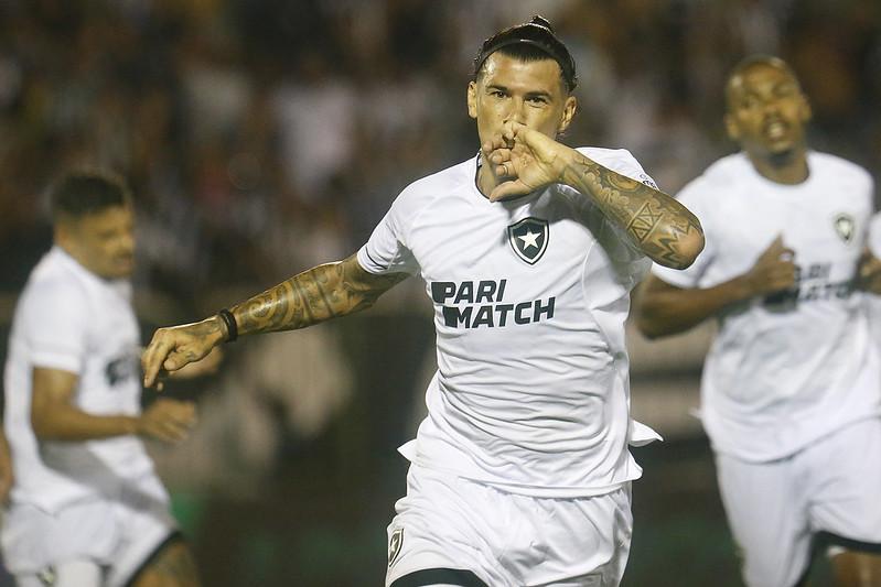 botafogo volta redonda