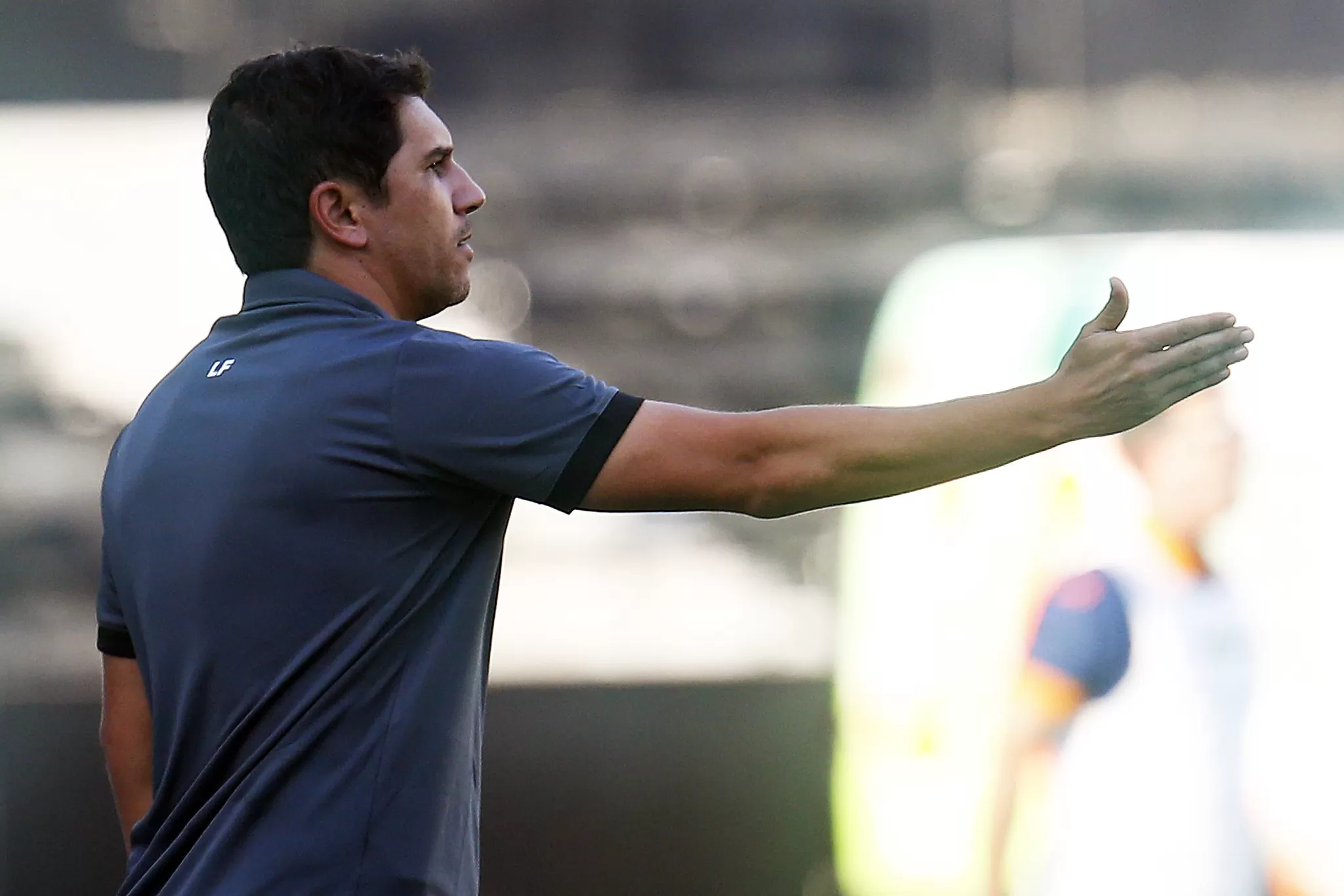 lucio flavio botafogo audax