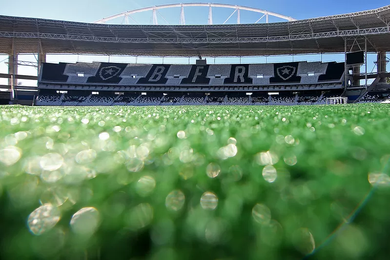 rbd botafogo nilton santos