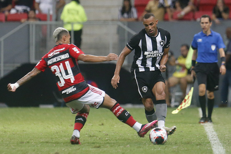 botafogo luis castro flamengo