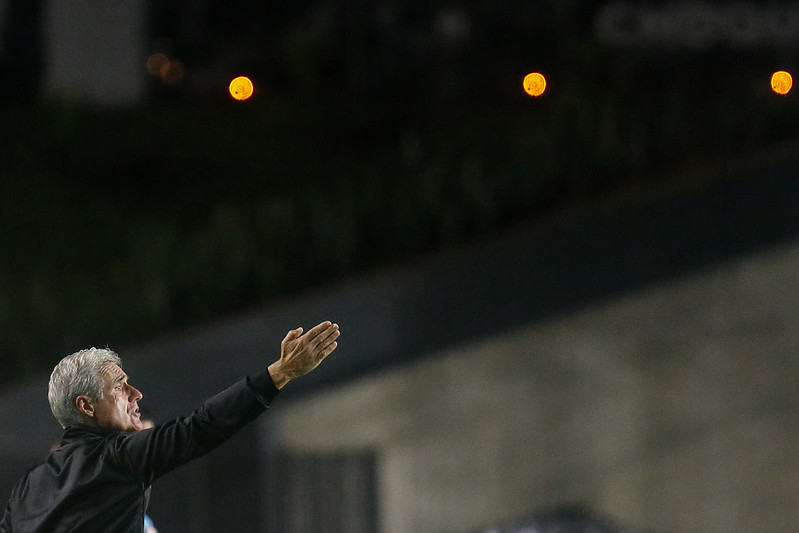 botafogo luis castro brasiliense alicia klein