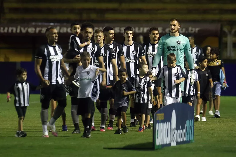 botafogo luis castro taça rio copa do brasil