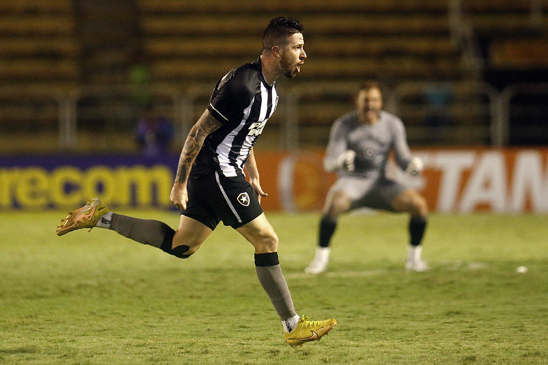 luis castro gustavo sauer botafogo