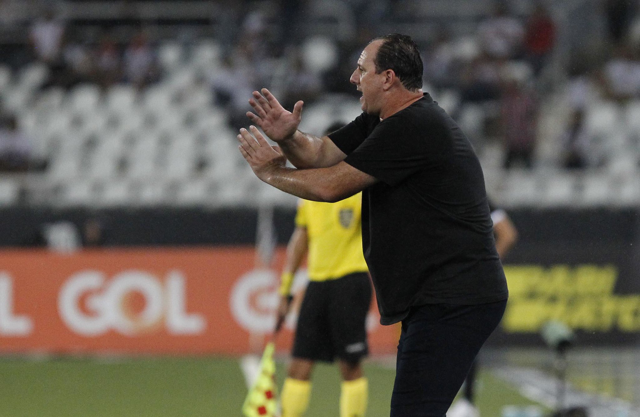 rogério ceni botafogo são paulo