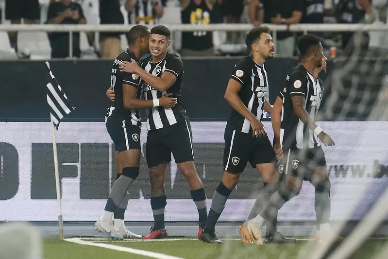 botafogo campeonato brasileiro