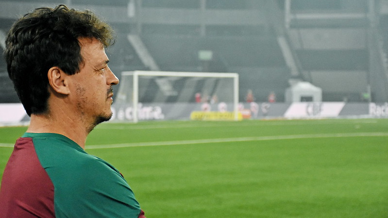 botafogo fluminense fernando diniz