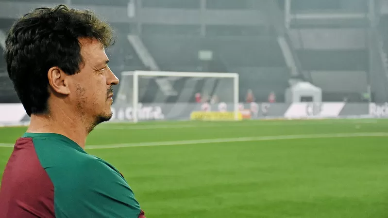 botafogo fluminense fernando diniz