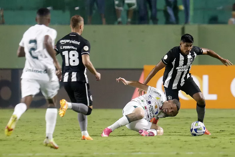 botafogo goiás mauro naves campeonato brasileiro
