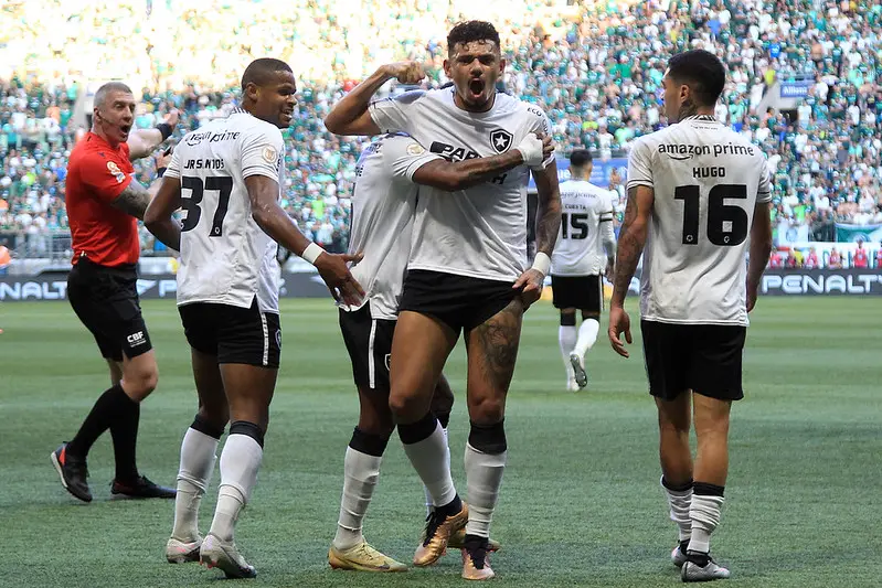 Venda de ingressos para jogo contra Botafogo no Allianz Parque pelo  Brasileirão – Palmeiras