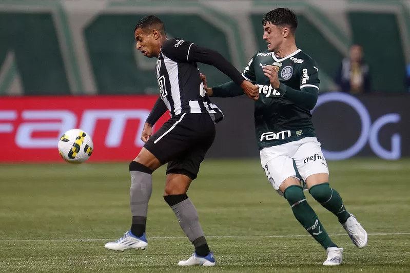 botafogo palmeiras escalação