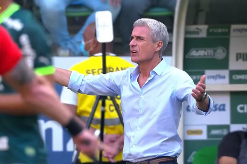 botafogo palmeiras luis castro